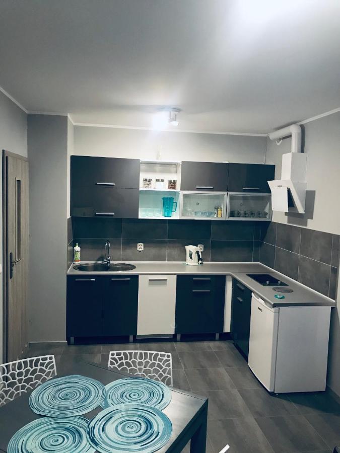Apartament C18 Jelenia Góra Kültér fotó