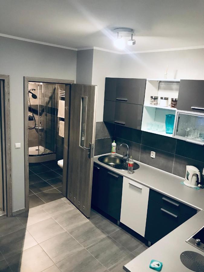 Apartament C18 Jelenia Góra Kültér fotó