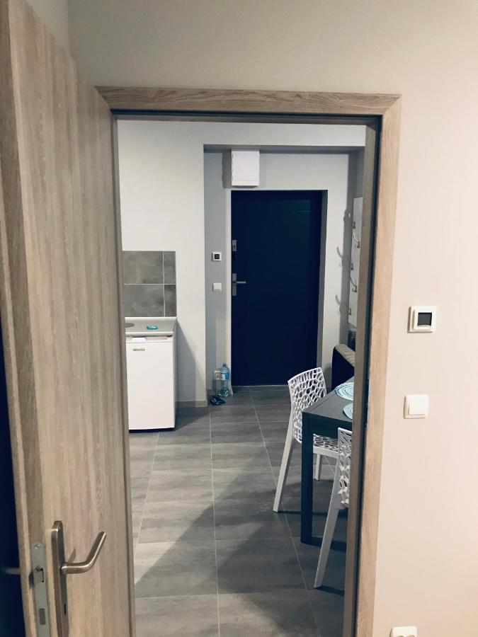 Apartament C18 Jelenia Góra Kültér fotó