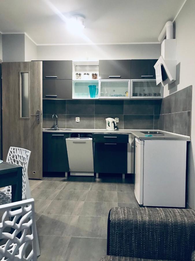 Apartament C18 Jelenia Góra Kültér fotó