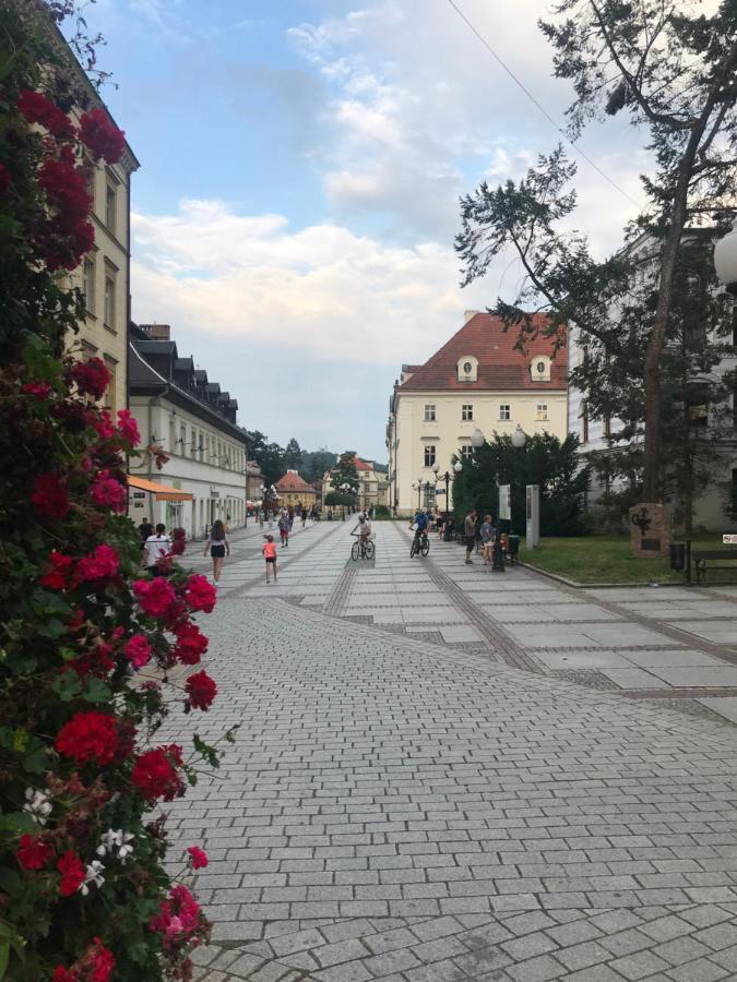 Apartament C18 Jelenia Góra Kültér fotó